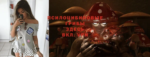 сатива Волоколамск