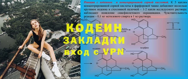 сатива Волоколамск
