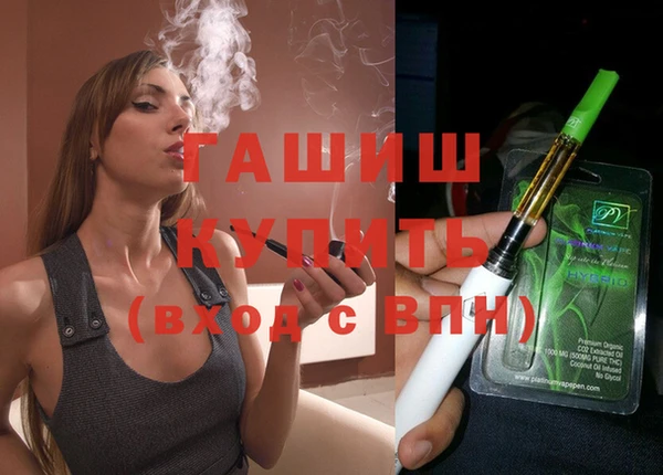 сатива Волоколамск