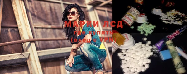 сатива Волоколамск